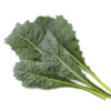 Italian Kale - 3 pack