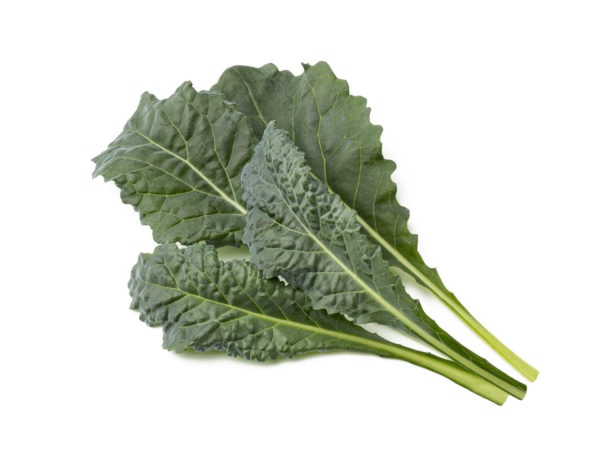 Italian Kale - 3 pack