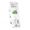 Oregano - 3 pack - Image 2