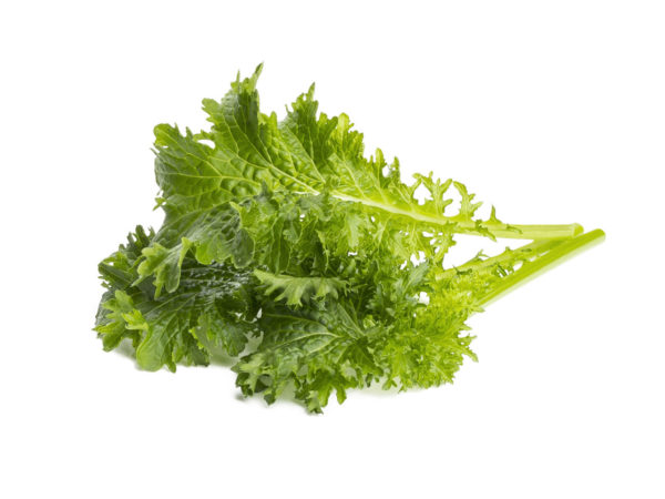 Wasabi Mustard - 3 pack