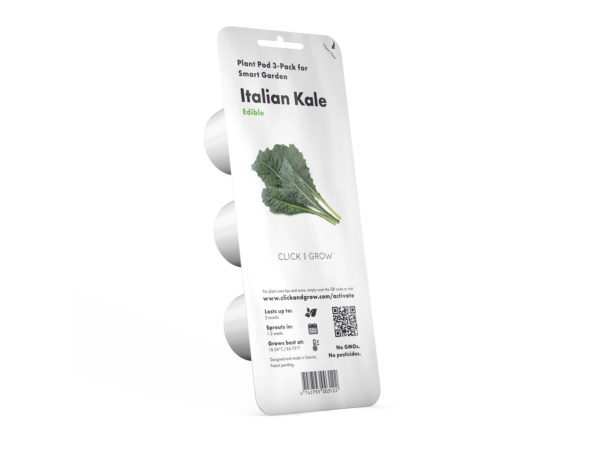 Italian Kale - 3 pack - Image 2